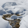Unsere Top-Skihochtouren im Berner Oberland: Herrliche Panoramen, eindrucksvolle Gletscher, zackige Aufstiege auf die herausragendsten der trutzigen Berner Riesen und ungewöhnliche Ski-Traumabfahrten erwarten uns in der fantastischen Gletscherwelt des Berner Oberlandes.