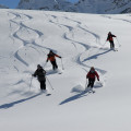 Welcher Ski, welche Skibindung ist für Sie ideal oder optimal ?

Selber ein Urteil fällen, vergleichen, sich von Profis beraten lassen: Dann kann nichts mehr schief gehen, sei es im Aufstieg mit einer Tourenbindung, welche das Laufen erleichtert oder sei es auf der Abfahrt, während der Sie den Schnee und das Gelände in vollen Zügen geniessen wollen.
