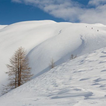 Im südlichen Piemont in Richtung französische Grenze liegt verborgen ein Skitourengeheimtipp. Das einsame Tal bietet zahllose Skitourengipfel von einfach bis extrem, zwischen Höhenlagen von 1200 bis 3000 m. Wir suchen uns die Gemütlicheren und Abwechslungsreicheren heraus, um das Gebiet genauer kennen zulernen. Faszinierende Ausblicke auf einsame Täler mit Spuren längst vergangener Zeiten und tolle Skiabfahrten können hier täglich neu erlebt werden.