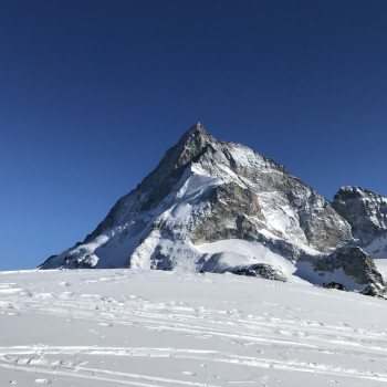 Walliser-Haute-Route Zermatt - Chamonix, an Ostern die berühmte Skitourenwoche  
Skitouren von Hütte zu Hütte: Die klassische Skitraversierung der gewaltigen Walliser Alpen von Zermatt nach Chamonix. Jeden Tag neue eindrucksvolle Gletscher- und Bergkulissen. Nach Tagen in einer Traumlandschaft in Weiss fahren wir am Donnerstag mitten in den blühenden italienischen Frühling - ein besonderes Erlebnis, das alle Jahre von neuem fasziniert. 
  
Anschliesend an die Walliser Haute Route kann mit der Mont Blanc Besteigung ein zweites Highlight hinzugefügt werden.