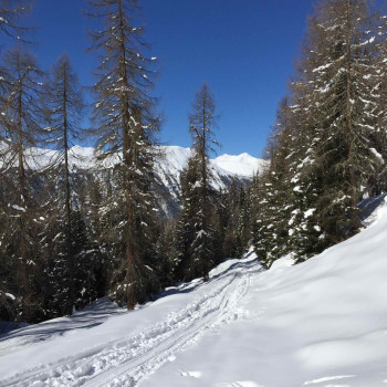 Etwas abgeschieden von Davos in Mondstein sind wir im Hotel Ducan untergebracht, nicht weit des Skizirkus von Davos. Rustikal und edel werden hier die Gäste nach den sonnigen Tages-Skitouren empfangen. Die unvergleichlich attraktive Landschaft verspricht Ihnen mit unserem Bergführer abwechslungsreiche Geniesser-Skitouren mit einer Fülle von super Abfahrten.