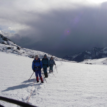 Über 7 Gletscher vom Jungfraujoch zum Grimselpass 4 Tage
Grossartige Überquerung des einmal beeindruckenden Berner Oberlandes im atemberaubenden Blickfeld der Berner Riesen: Eiger – Mönch – Jungfrau – Finsteraarhorn – Oberaarhorn - über schier endlose Gletschermassen. Die Route verläuft über nur leicht geneigtes Eis und ist dadurch für Bergwanderer und sportliche Kinder ab 14 Jahren gut geeignet. 
