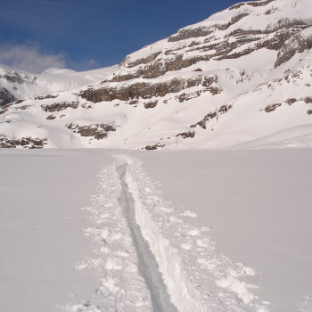 Trekking Winterliche Silvretta 4 Tage
Die weisse Silvretta ist berühmt für Ihre tollen Skitouren. Doch auch als Schneeschuhtrekking kann Sie begeistern, sind doch die Gletscher meist breit und weit und so für die Schneeteller bestens geeignet. Packende Felsformationen begleiten uns auf unserer Route