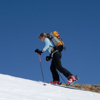 Rund um den eindrücklichen Konkordiaplatz und die herrlich gelegene Finsteraarhorn-Hütte finden wir auch leichte und lohnende Genuss-Skitouren für gemütliche Tourengäste durch die riesige, einzigartige Gletscherwelt des Berner Oberlandes.