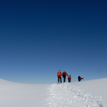 Ab Passhöhe Ibergeregg führt unsere Spur durch offene Wälder und über sanfte Hänge zum Gipfel auf 1753 m. Die ebenso leichte Abfahrt ist für Beginner wie für Gemütliche gleichermassen reine Freude. Aufstieg ca. 2 - 21/2 Std.