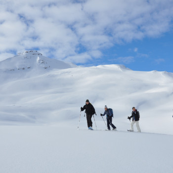 Auf unserer 2-tägigen Schneeschuhtour ab Kabinenbahn Maschgenchamm 2019 m durchqueren wir hoch oben die fast endlosen Weiten der Alp Fursch in Richtung Wissmeilen mit Blick auf den grösseren Bruder Spitzmeilen mit seiner eigentümlichen Warze. Einsame Berglandschaften mit Blick in die Glarner Alpen entrücken uns dem Alltag für zwei volle Tage.