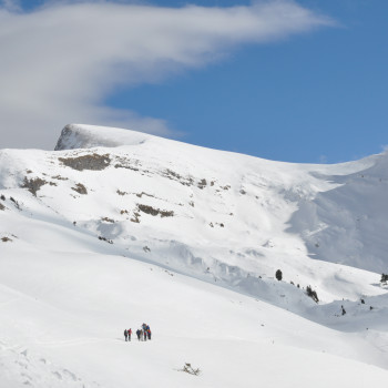 Diese Schneeschuhgipfeltourist eine rassige Schneeschuhtour. Der flache Aufstieg mit diversen herausvordernden Steilstellen über die Rautialp endet abrupt über dem Abgrund einer 2000 Meter hohen Felswand. Der Tiefblick und die Rundsicht sind überwältigend. Aufstieg ca. 1000  Höhenmeter in ca. 3 1/2 bis 4 Std. Gesamtwanderzeit ca. 6-7 Std. 