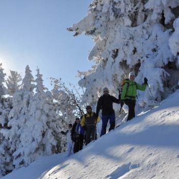 Romantische Schneeschuhtour: Ab dem verschlafenen Dörflein Matt im Glarner Kleintal erleichtert uns die Seilbahn einen Teil des Aufstiegs. Weiter geht es mit den Schneeschuhen über sonnige Hänge durch lichte Wälder vorbei an hübschen Holzhüttli und Heuschobern bis zum Gipfelhang. 