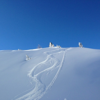 Skitouren an der Quelle des Rheins zum Reinschnuppern.
Der schöne Aufstieg 700m auf den Pazolastock wird mit einer grossartigen Aussicht belohnt, mit den Skiern fahren wir eine wunderbare Abfahrt zum Talboden hinab. Am nächsten Tag unternehmen wir eine leichte Skitouren ab der Maigelshütte, kombiniert mit Ausbildung.