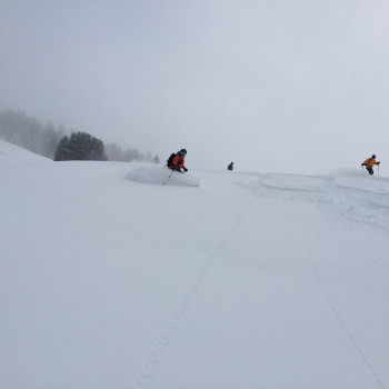 Fortsetzungskurs des Kurses erste Tiefschnee Erfahrung
wir hatten ein so gutes Echo auf den Einsteigerkurs, dass wir einen Fortsetzungskurs in unser Programm aufnehmen!!
Mit Videoanalyse.
