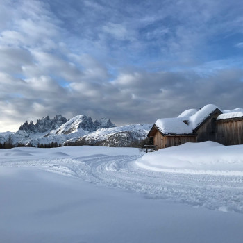 Eine einmalig schöne Schneeschuhtour quer durch die traumhaften Dolomiten!!
Wir durchqueren einsame Bergtäler und Gipfel. Wir nutzen ab und zu die Bergbahnen, um uns den Aufstieg zu erleichtern, dazu nur ein leichter Tagesrucksack bilden die besten Voraussetzungen, die einmalig schöne Landschaft zu geniessen und dabei die fantastische Szenerie zu bewundern.