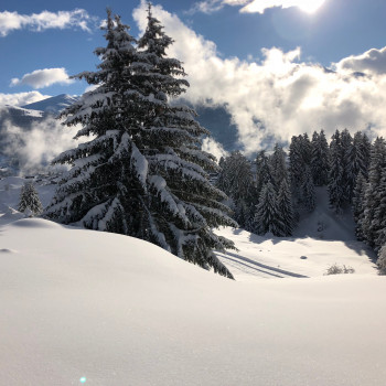 Genuss-Schneeschutouren im wunderschönen Brigels

Der Blick ins Val Frisal mit dem Kistenstöckli ist einfach atemberaubend.

Emotions Plus: Tolle Atmosphäre, grosse Auswahl an leichten Tages-Schneeschuhtouren, ideal für gemütliche Touren-Geher.

Ein Abendessen wie zu Grossvaters Zeit in urchiger Alphütte.

Alle Touren werden vom Hotel aus unternommen, daher ist es gut möglich, einen individuellen Ruhetag einzuschalten.

