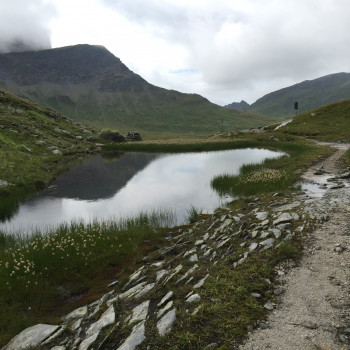 Hoch und auf der Greina ziehen wir unserer Spuren.
Die Greina - Hochebene  auf 2200 m.ü.M. ist eine karge Gebirgslandschaft mit weit verzweigten Wasserläufen.
Eine der schönsten und grössten Hochebenen der Schweiz.
