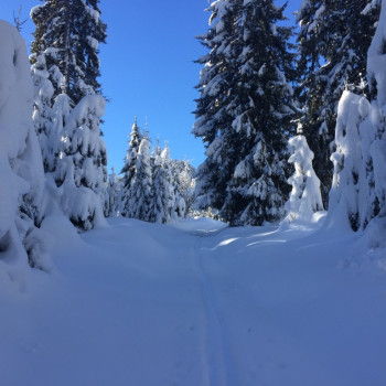 Hast Du auch schon davon geträumt, einmal abseits vom Pistenrummel Deine eigenen Spuren in den unberührten Schnee der winterlichen Berglandschaft legen zu können?
Wunderschöne Tour!!
